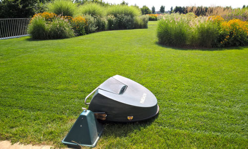 Robotic mower: how to choose one?