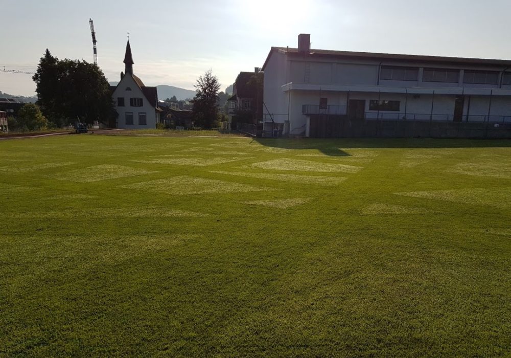 Een Bigmow-robot kan uw sportveld elke dag maaien tijdens het groeiseizoen