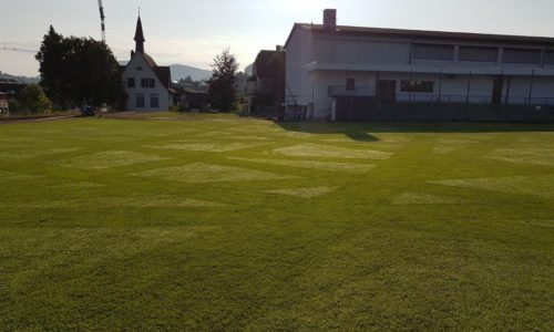 Een Bigmow-robot kan uw sportveld elke dag maaien tijdens het groeiseizoen