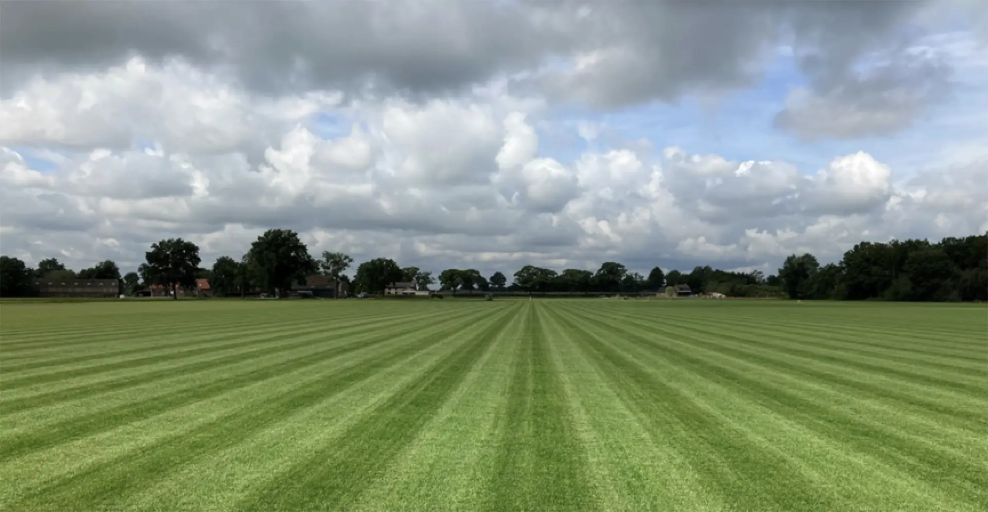 Proven: automatic mowing is key for turf producers (case study)